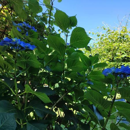 Nebbiuno Casale Cadeloro 아파트 외부 사진