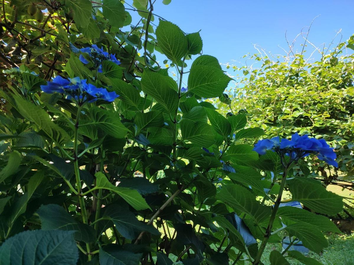Nebbiuno Casale Cadeloro 아파트 외부 사진