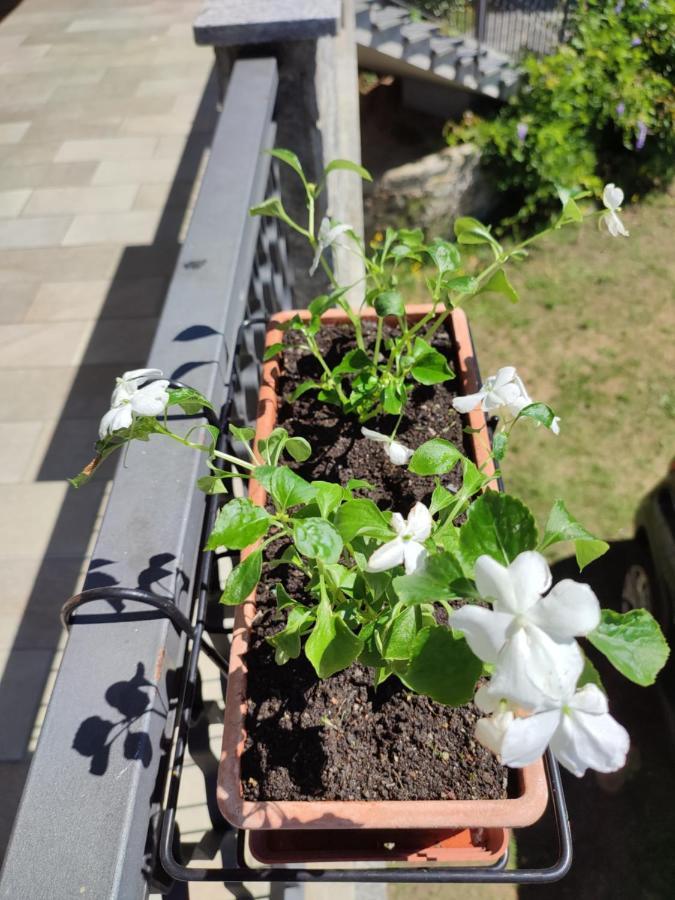 Nebbiuno Casale Cadeloro 아파트 외부 사진