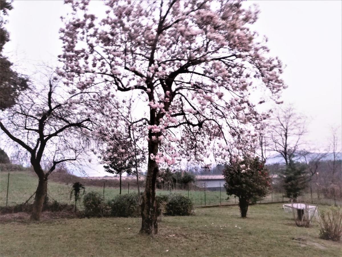Nebbiuno Casale Cadeloro 아파트 외부 사진