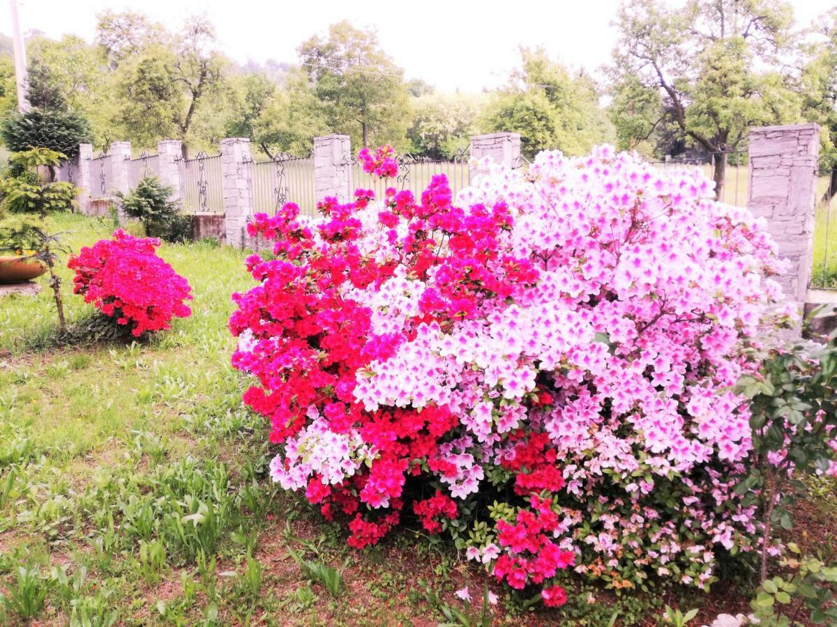 Nebbiuno Casale Cadeloro 아파트 외부 사진